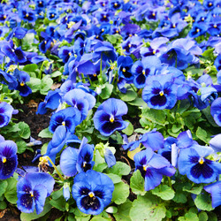 Similar image 1423751