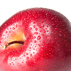 Similar image 1423757