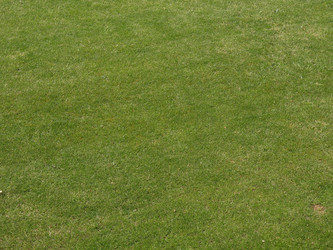 Similar image 1423767