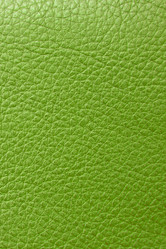 Similar image 1423776