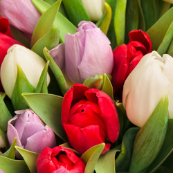 Similar image 1423778