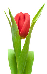 Similar image 1423780