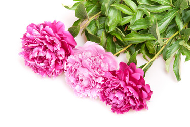 Similar image 1423788