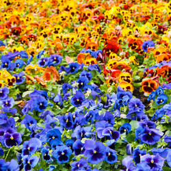 Similar image 1423790