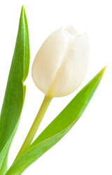 Similar image 1423792