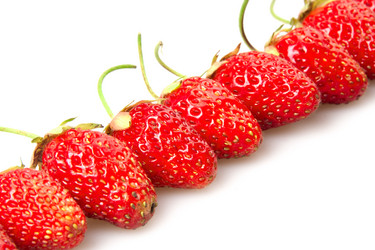 Similar image 1423798