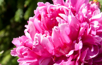 Similar image 1423800