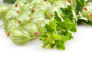 Similar image 1423804