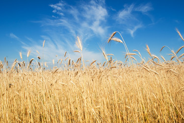 Similar image 1423805