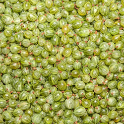 Similar image 1423811