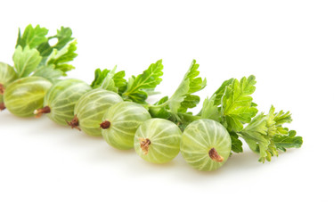 Similar image 1423812