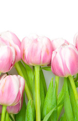 Similar image 1423823