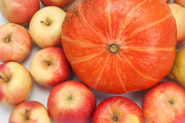 Similar image 1423836