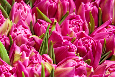 Similar image 1423839