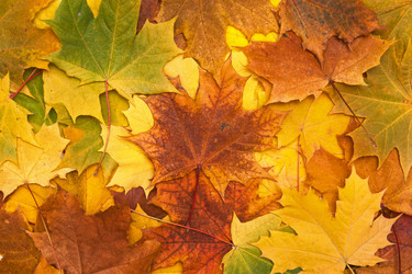 Similar image 1423844