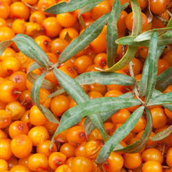 Similar image 1423856