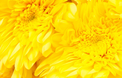 Similar image 1423858