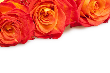 Similar image 1423859