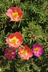 Similar image 1423869