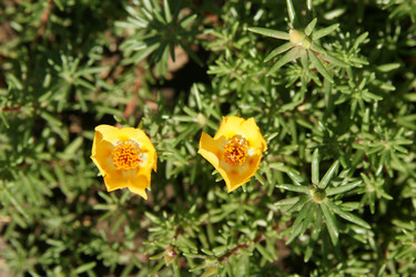 Similar image 1423870