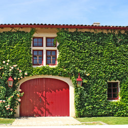 Similar image 1423877