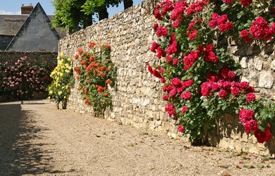 Similar image 1423880