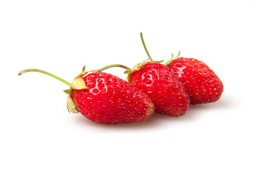 Similar image 1423882