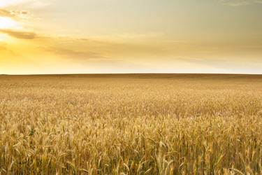 Similar image 1423887