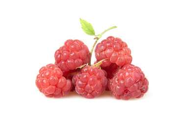 Similar image 1423895