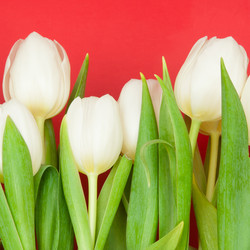 Similar image 1423899