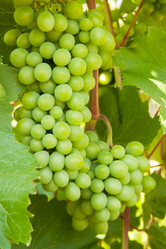 Similar image 1423913