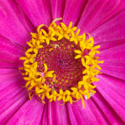 Similar image 1423917