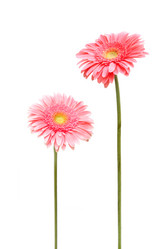 Similar image 1423924