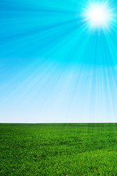 Similar image 1423928