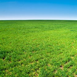 Similar image 1423929