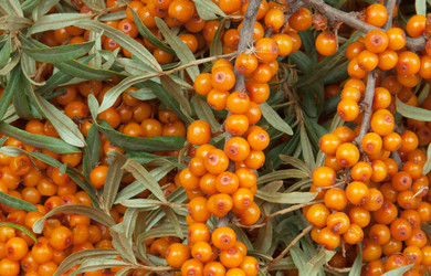 Similar image 1423935