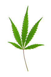 Similar image 1423937