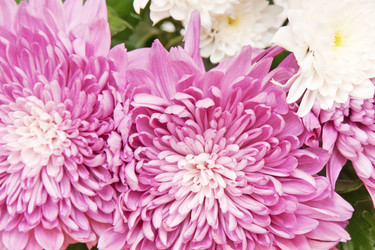 Similar image 1423938