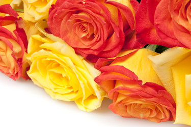 Similar image 1423939