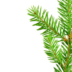 Similar image 1423944