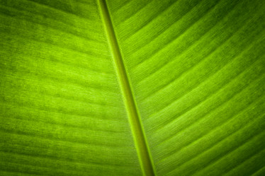 Similar image 1424009