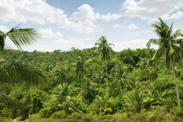 Similar image 1424022