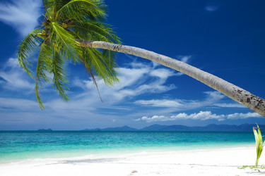 Similar image 1424028