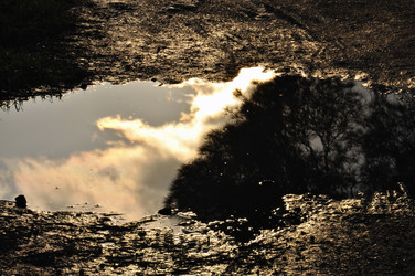 Similar image 1424119