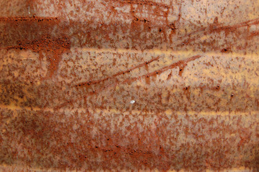 Similar image 1424140