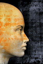 Similar image 1424196