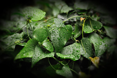 Similar image 1424199