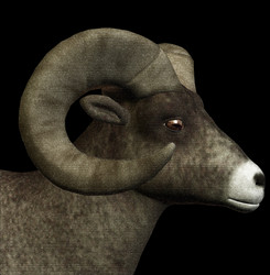 Similar image 1424205