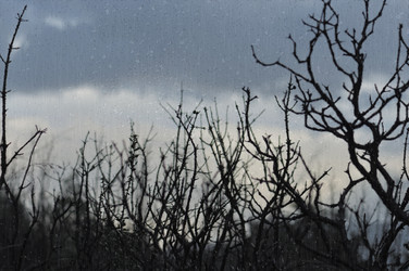 Similar image 1424223