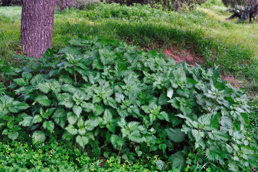 Similar image 1424326